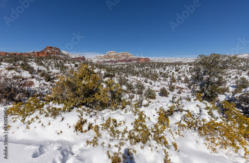 Snow Covered Scenic Landscape Sedona Arizona in Winter