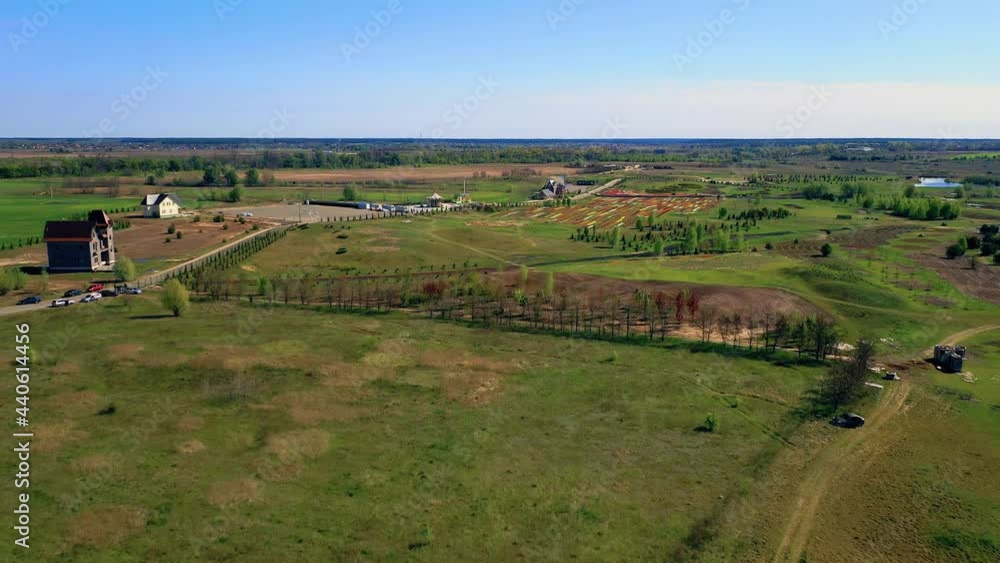 Aerial view of Tulip field, Aerial view of a blooming tulip field , Park with fields of colorful tulips, colorful rows of rich flowering tulips on field Aerial view of Tulip field, Aerial view of a blooming tulip field , Park with fields of colorful tulips, colorful rows of rich flowering tulips on field