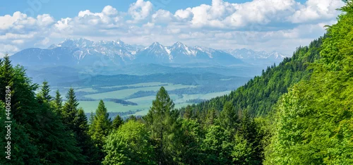 Obraz Widok na Tatry z przełęczy Szopka w Pieninach