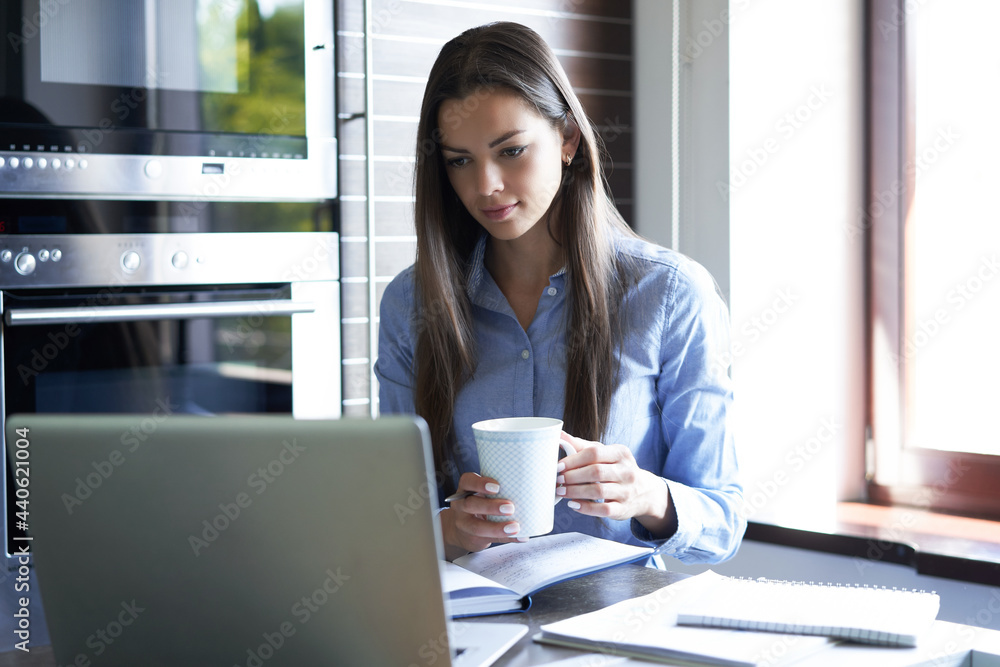 Smiling pretty woman sitting at table, looking at laptop screen. Happy entrepreneur reading message email with good news, chatting with clients online. Smiling pretty woman sitting at table, looking at laptop screen. Happy entrepreneur reading message email with good news, chatting with clients online.
