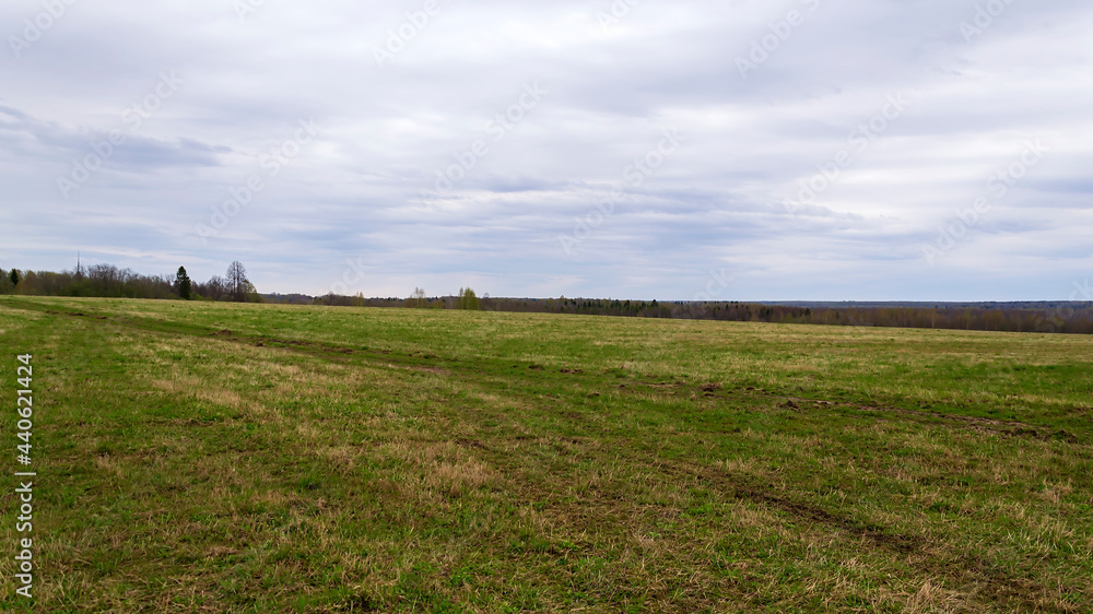 landscape green field