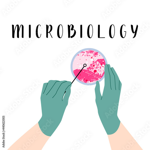 Scientist's hand in glove holding Petri dish, plate with agar, bacterial colony. Bacteriology. Microbiology. Laboratory test, bacteriological swab, chemical analysis. Vector flat cartoon illustration