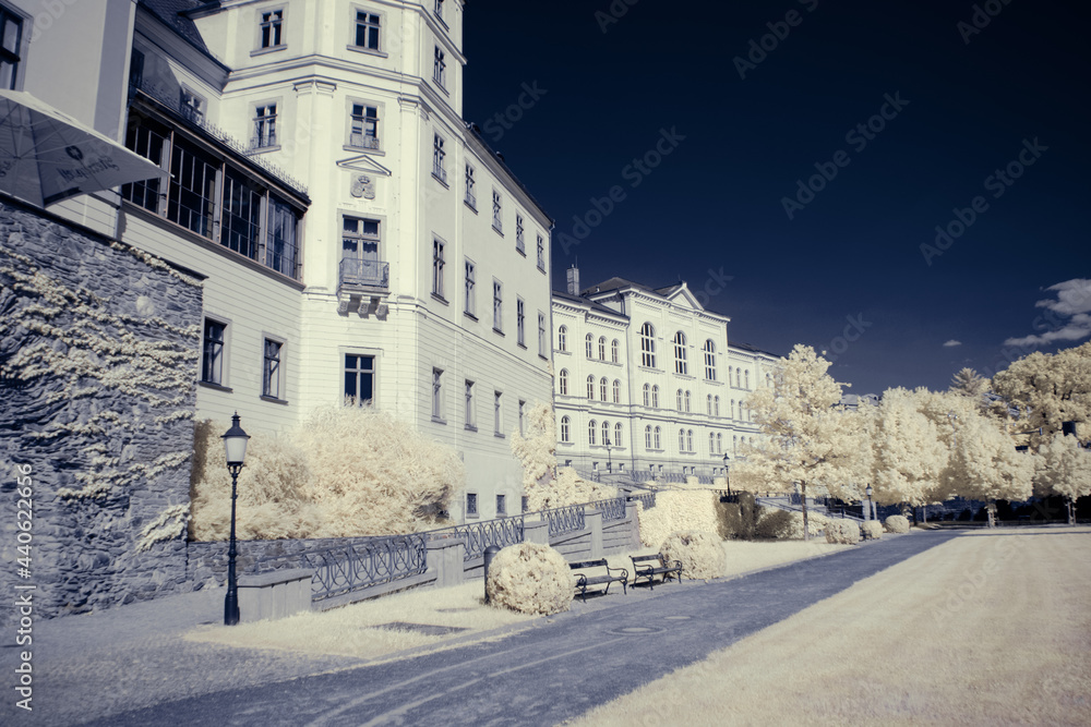 Obraz premium infrared photography - surreal ir photo of landscape with trees under cloudy sky - the art of our world and plants in the invisible infrared camera spectrum