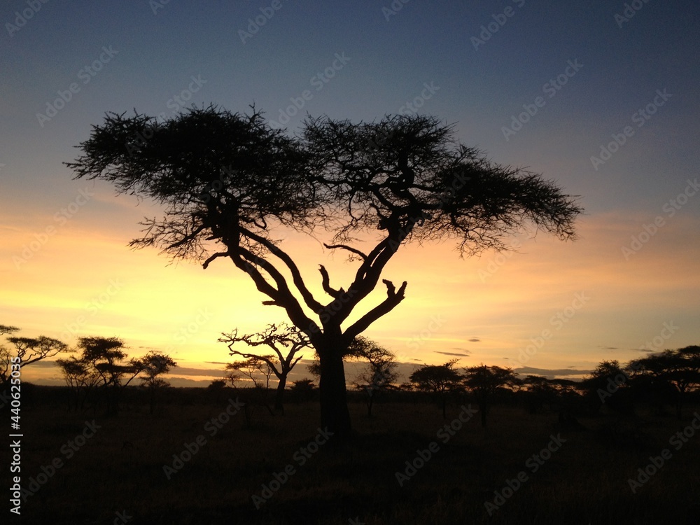 sunset in Serengeti National Park Tanzania