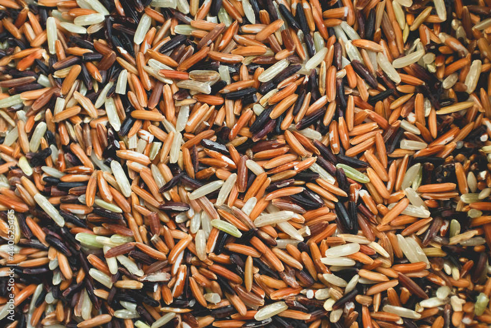 Mixed colors of different kind of rice. White Brown Red and Black. Mixed colors of different kind of rice. White Brown Red and Black.