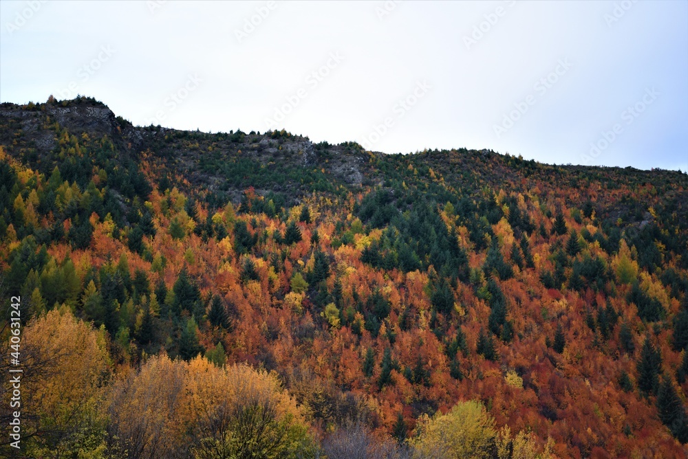 Autumn in the Mountains