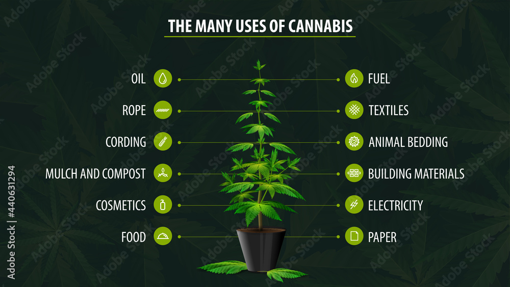 Many uses of hemp, poster with infographic of uses of cannabis and ...