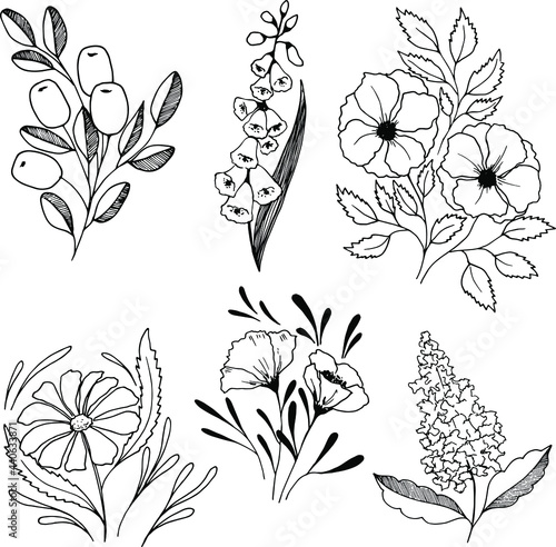 graphic flowers set for postcards