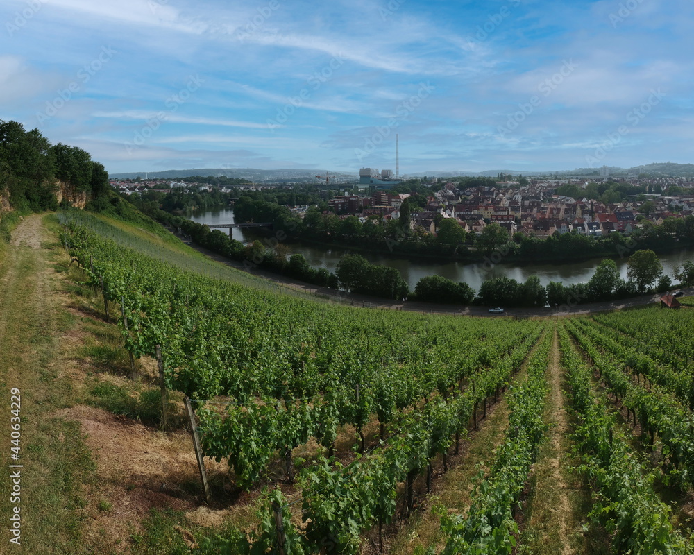 Panorama vom Weinberg mit Blick auf den Fluss Necker in Bad Cannstatt, Germany