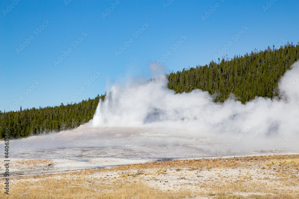 Geyser