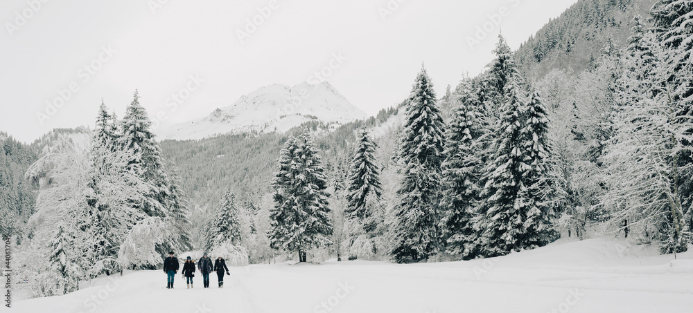Fototapeta premium snow covered mountains
