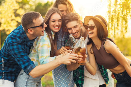 A group of friends makes a toast during a barbecue, in nature, Happy people have fun at a picnic