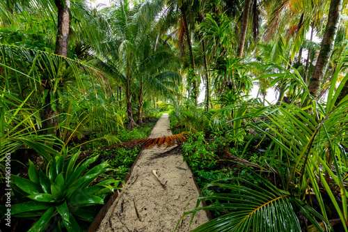 Tropical Caribbean island with lush vegetation in the marine park of Bastimentos, Cayos Zapatilla, Bocas del Toro, Panama. photo