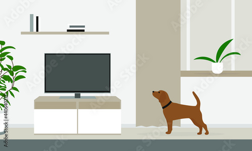 Dog with a collar alone in the room