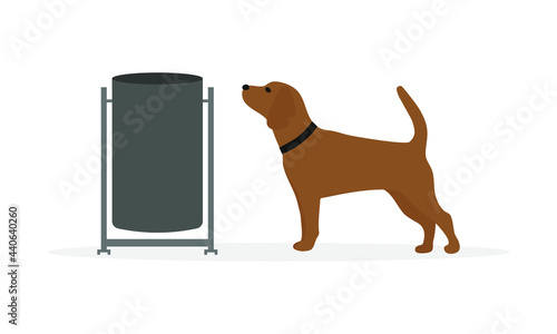 Dog near trash can on white background