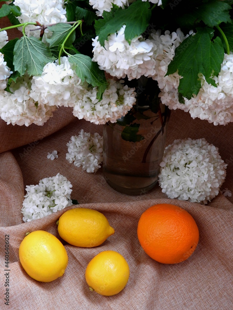 Composition. Citrus fruits and a vase of white flowers.