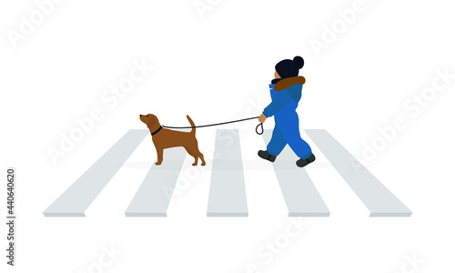 A small child in warm clothes walks along a pedestrian crossing with a dog on a leash