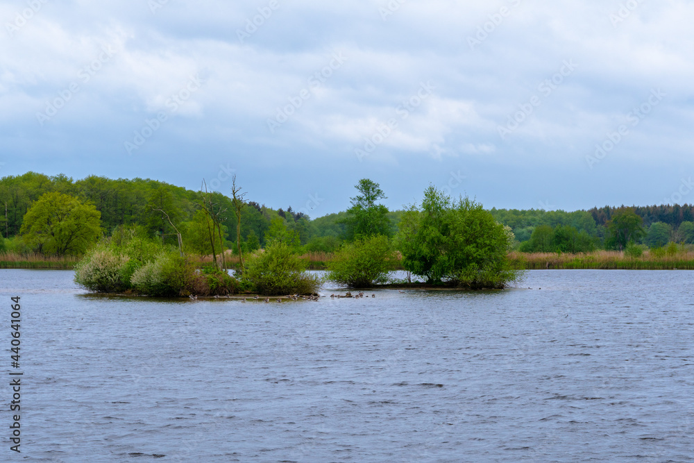 Meißendorfer Teiche/Bannetzer Moor in Niedersachsen, unberührte Natur