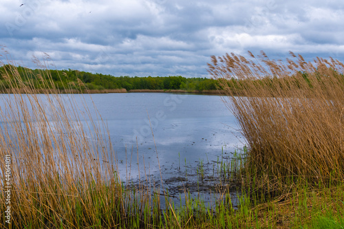 Meißendorfer Teiche/Bannetzer Moor in Niedersachsen, unberührte Natur photo