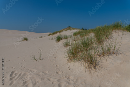 dunes in the sand