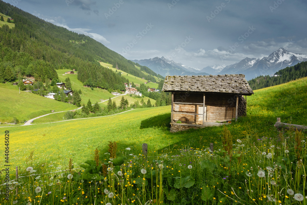 Fototapeta premium Almhütte mit Schindeldach auf einer Bergwiese in Tirol Österreich