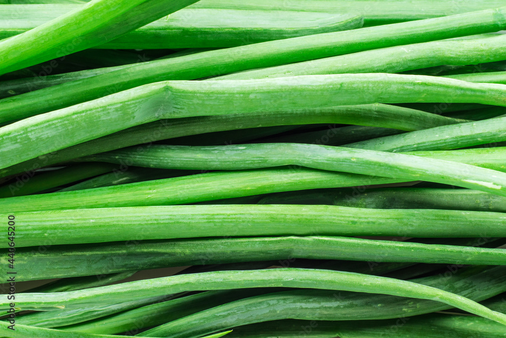 Green onion leaves as background in full frame Green onion leaves as background in full frame