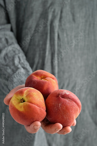 Fresh peaches in a woman's hand, selective focus, gray neutral background, vertical frame. Close-up on juicy ripe fruits, idea for a banner or mockup for advertising and selling fruits from the farm
