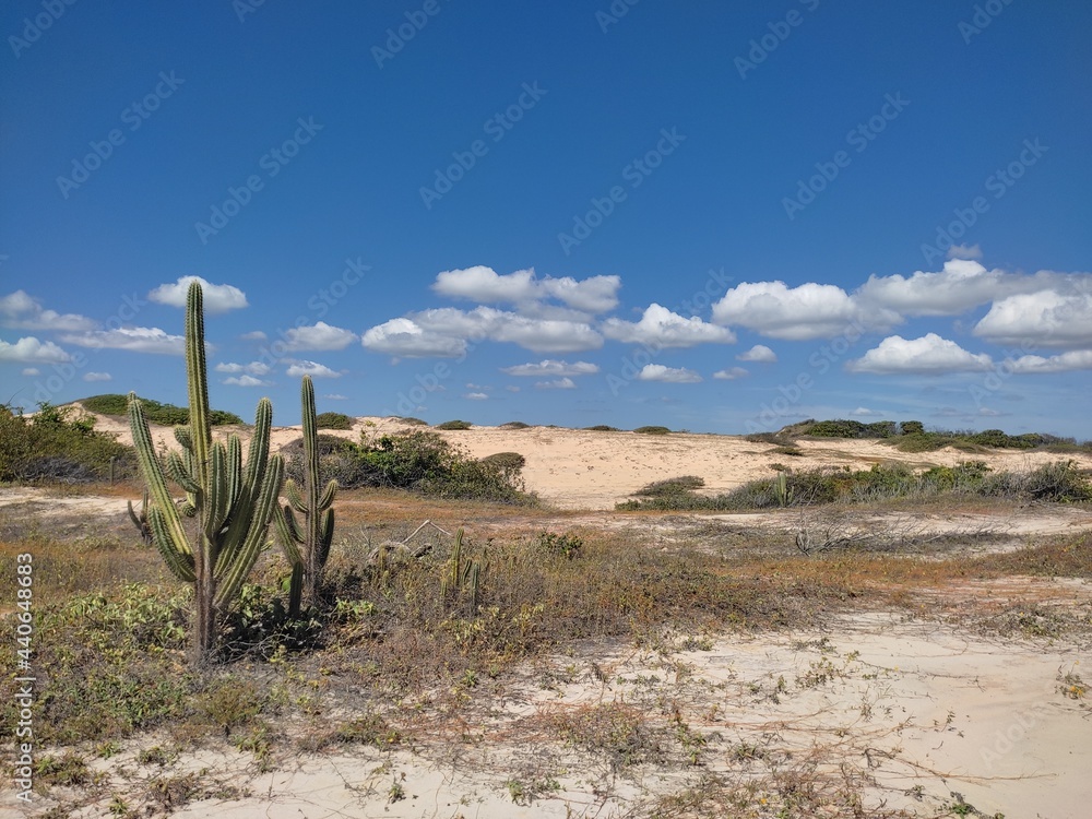 Deserto ao mar