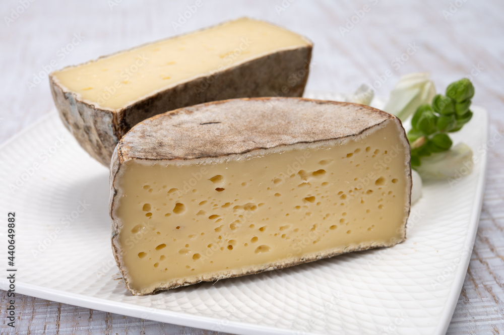 Cheese collection, matured cow cheese with mold tommette de savoie from France, cheese made in Alpine mountains