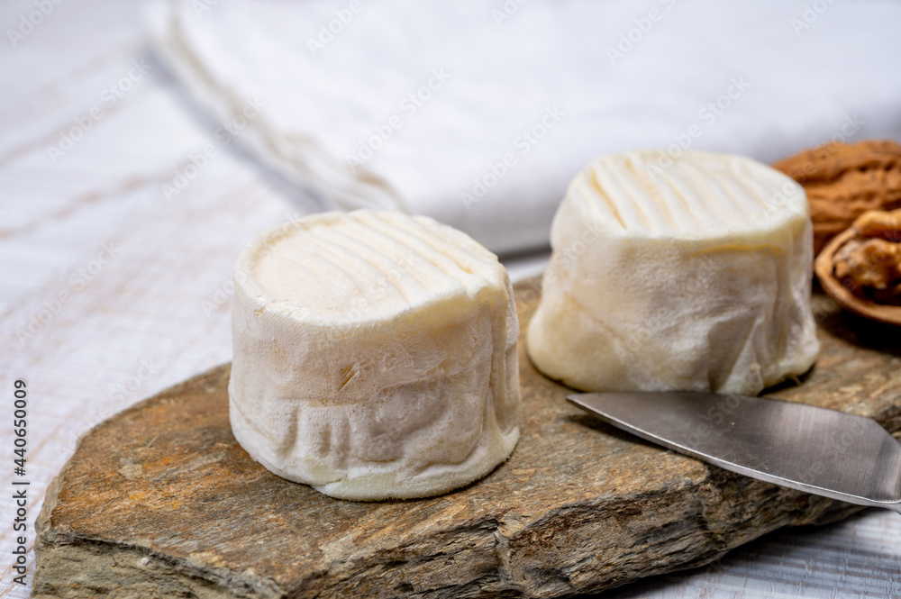 Cheese collection, soft goat French cheese with mold crottin de Chavignol produced in Loire Valley Cheese collection, soft goat French cheese with mold crottin de Chavignol produced in Loire Valley