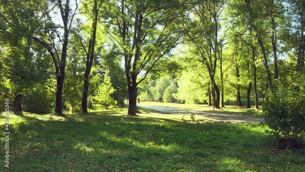 Green trees in the park and sunlight. People are walking and cycling. Green trees in the park and sunlight. People are walking and cycling.