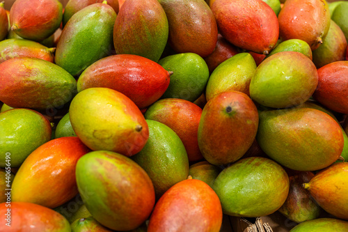 Close up view of colorfull ripe mango fruits on shelf of supermarket. 