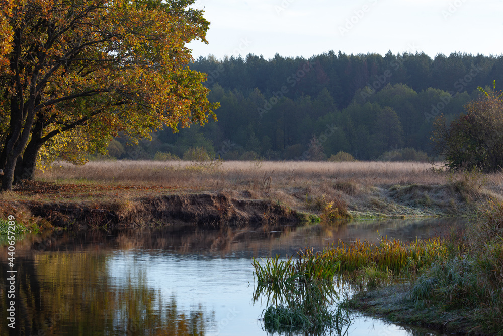 Summer landscape with views of the river with steep banks