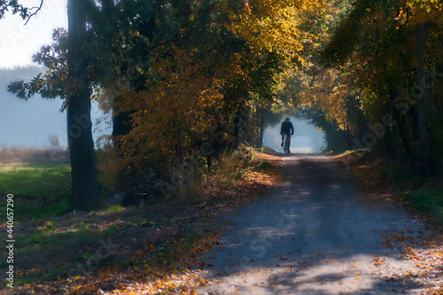 sylwetka rowerzysty jadącego przez las jesienią