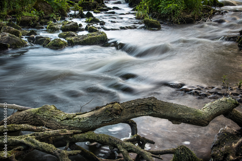 rzeka płynąca przez las