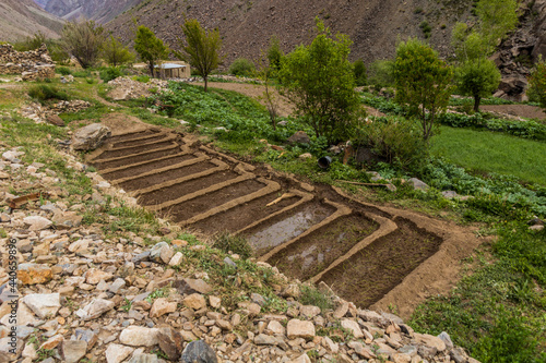 Small patch in Jizeu (Jizev or Jisev) village in Pamir mountains, Tajikistan photo