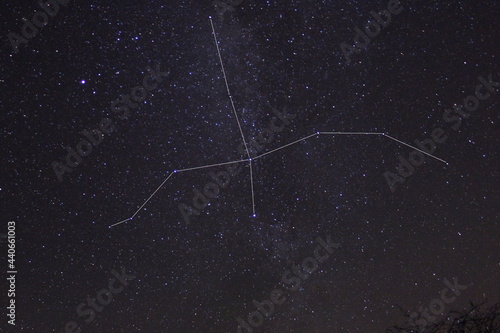 swan constellation photo