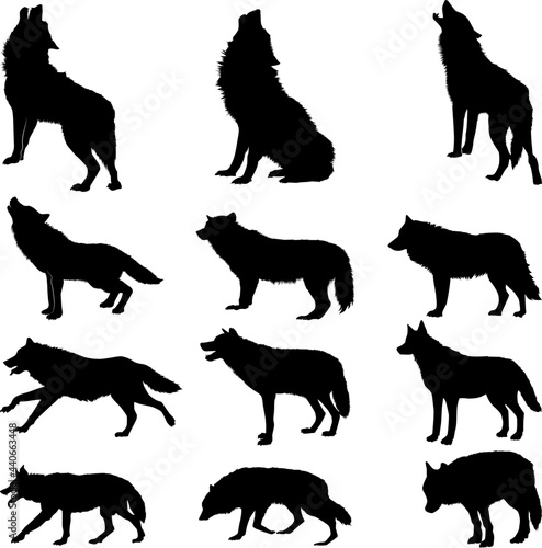 Leinwand Poster Silhouette of a wolf vector illustration isolated on white background