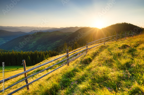 Fence on a mountain slope. Grass and flowers on mountain slopes. Summer lands...