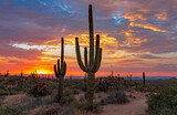 Setting Sun And  Cactus Along A Hiking Trail In Scottsdale, Arizona