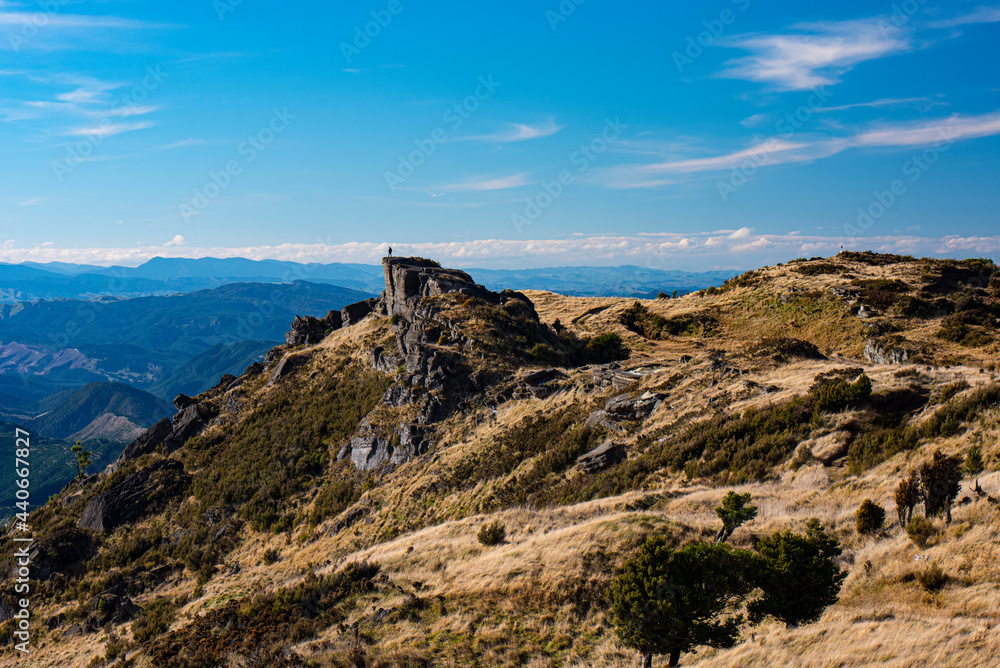 Hiker overlooking Mohaka valley from Bell rock formation, Hawke's Bay, New Zealand