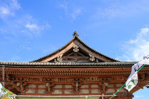 東寺 © Hick