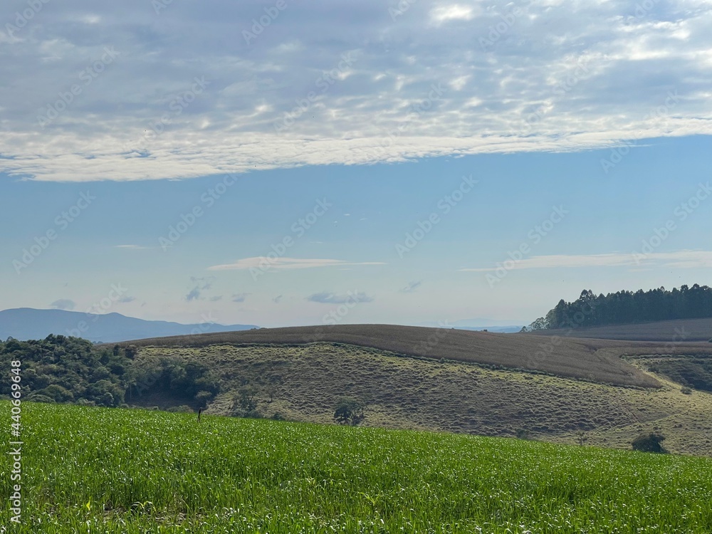 Obraz premium landscape with sky