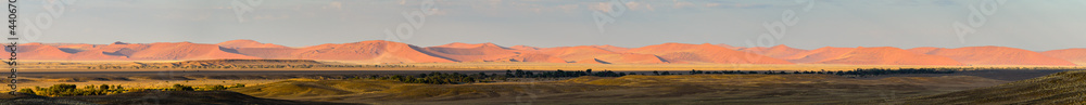 Fototapeta premium Namibian sand dunes panorama