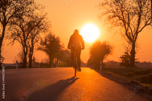 Dark silhouette of young woman cycling on road to village during sunset. Tree alley on edges of asphalt road.