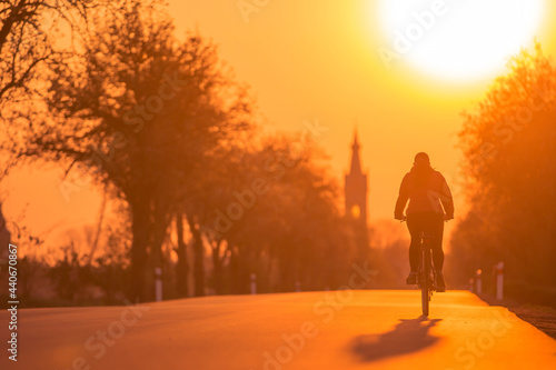 Fototapeta Naklejka Na Ścianę i Meble -  Dark silhouette of young woman cycling on road to village during sunset. Tree alley on edges of asphalt road.