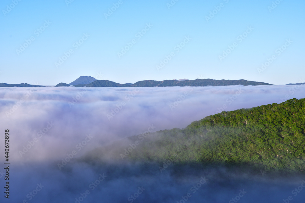 青空と雲海と山の緑の森。