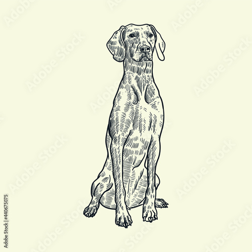 Vintage hand drawn sit dog