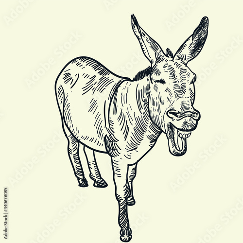 Vintage Hand drawn smile donkey