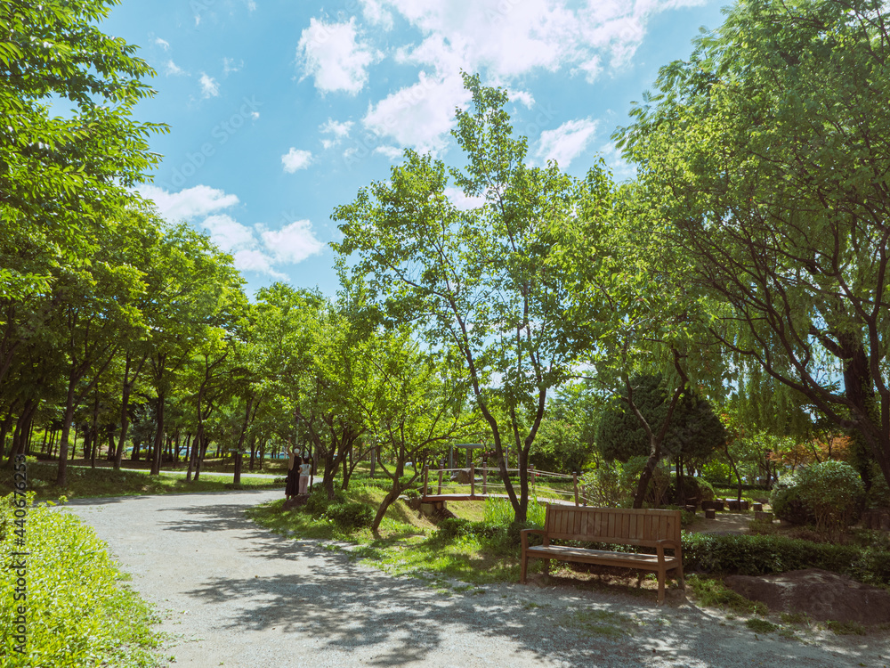 Beautiful road with trees on sideroad in summer. Beautiful road with trees on sideroad in summer.
